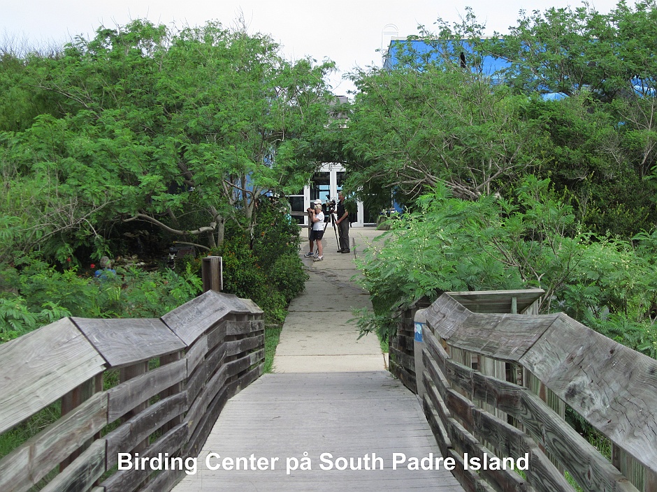 Birding Center, South Padre Island